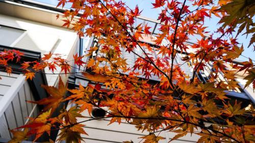 Hotel Yori Toya / Vacation Stay 24393