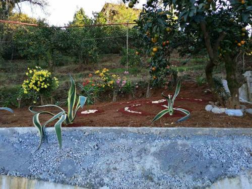 Villa Cottage House Niniela