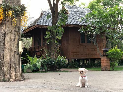 Hotel Romsak Lanna Resort Chiang Mai