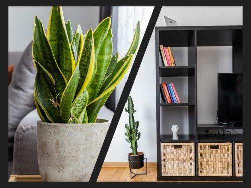Apartamento Matisse Hotflat