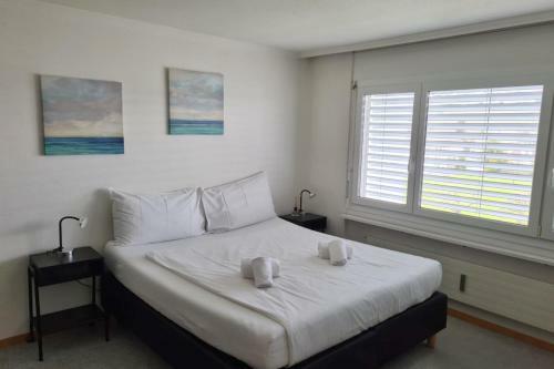 Apartamento Spacious Place For 6 Ppl Close To Pilatus