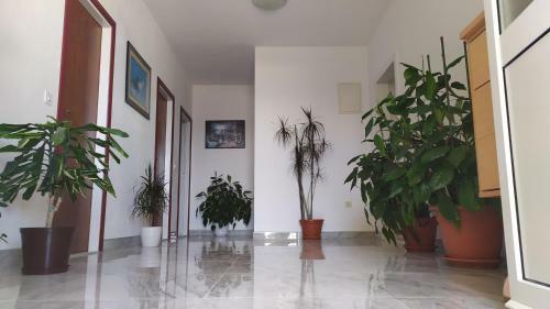 Apartman Nina