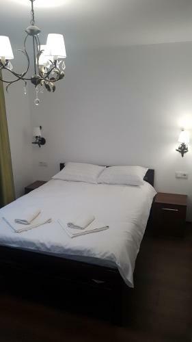 Hostal Pensiunea Regal