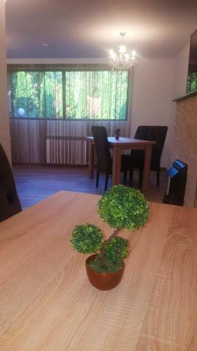 Hostal Pensiunea Regal