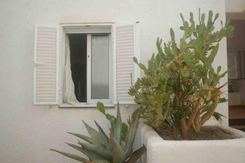Apartamento A 2 Minutos Andando A La Playa.