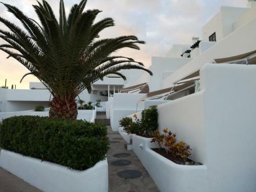 Apartamento En Tenerife Sur Adeje Paradise