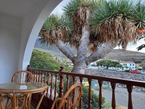 Apartamento Casa-terraza Vista Jard�n 2