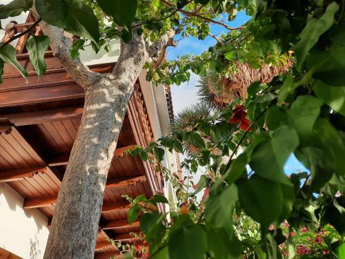 Apartamento Casa-terraza Vista Jard�n 2