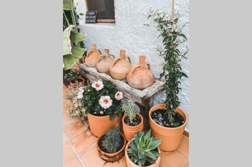 Casa Nomad Es Su Hogar M�gico En Agua Amarga