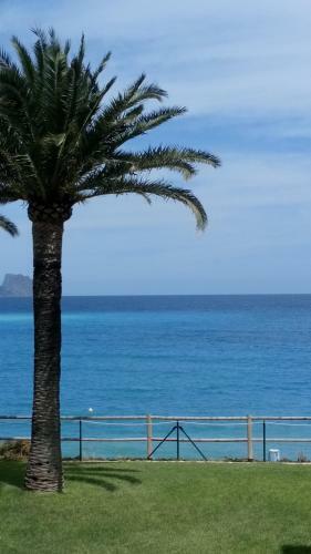 Apartamento Albimar
