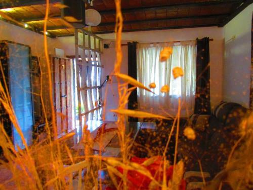 Apartamentos Casas Rurales "paraje San Blas"