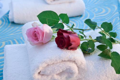 Park Hotel Loutraki