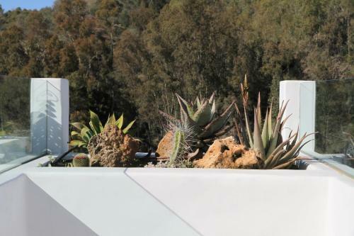 Villa Finca Florita