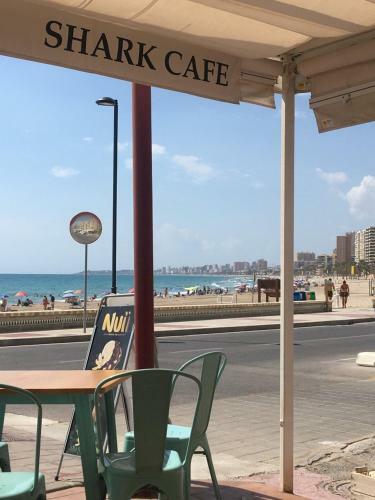 Apartamento �tico Playa Muchavista - El Campello