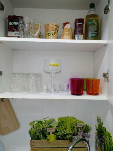 Apartamento Loft Pasarela