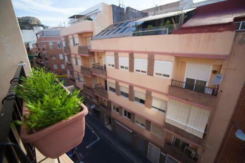 Ginger Apartment