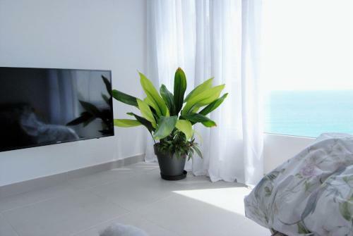 Apartamento Con Vistas Al Mar