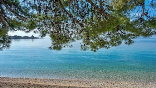Apartman Ivandi? Makarska