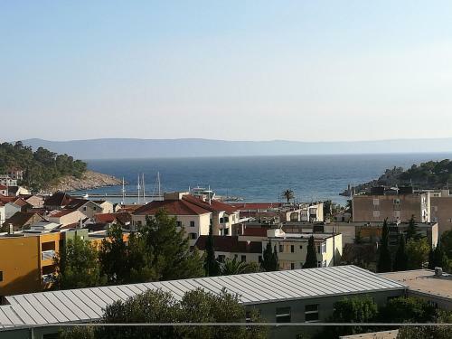 Apartment Petar