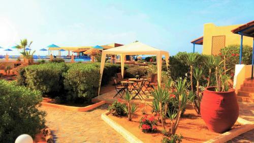 Apartamento Zorbas Beach Village Hotel