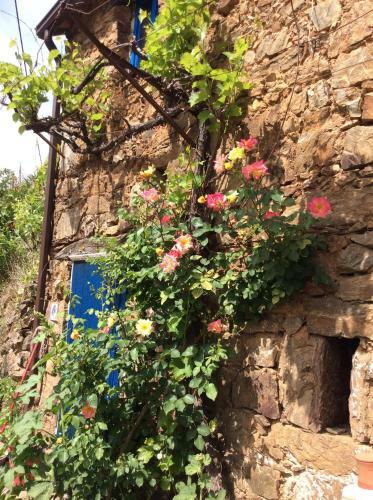Cottage Vivenda Festina Lente