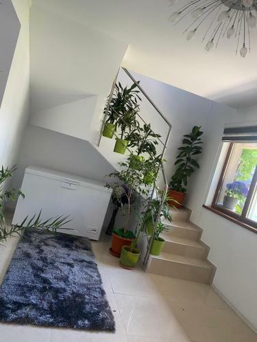 Villa Vila Eduard