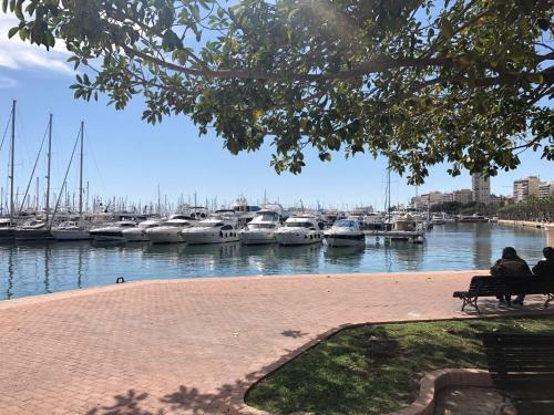 Apartamento Enclave Paseito - Postiguet