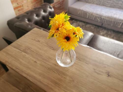 Apartamento Loft. Old City (Happy Alicante)