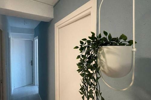Apartamento Lux&cool Zapillo