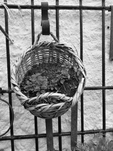 Bed & Breakfast Casa Proyecto Pepe Bravo - Arte de Manos Y Coraz�n