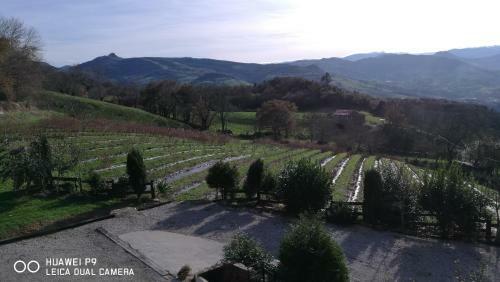 Elbosqueencantadocantabria