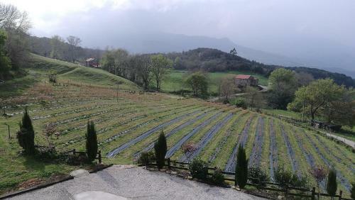 Elbosqueencantadocantabria