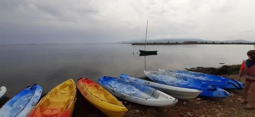 Apartament Caterina - Delta de L'ebre, Amposta