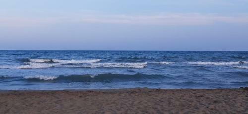 Apartament Caterina - Delta de L'ebre, Amposta