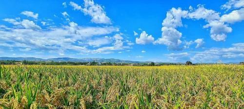 Apartament Caterina - Delta de L'ebre, Amposta