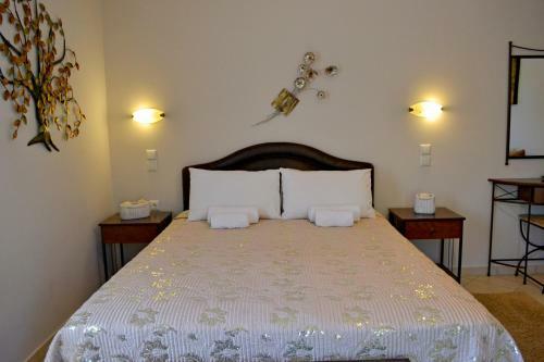 Hotel Anesis