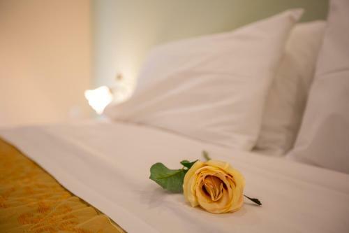 Hostal Chrisi Akti
