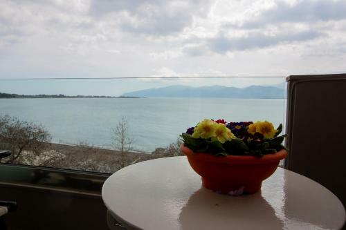 Hostal Chrisi Akti