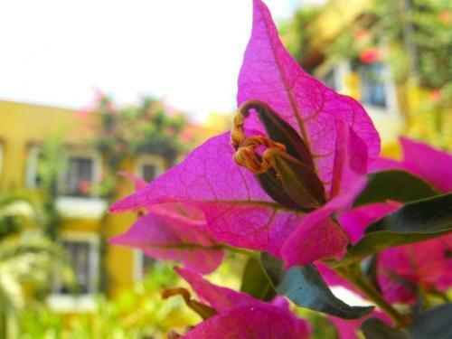 Meldi Hotel