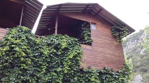 Hostal Olympos Caml?k Pension