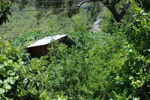 Hostal Olympos Caml?k Pension