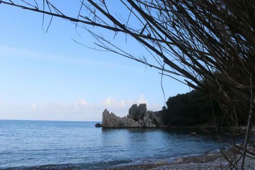Hostal Olympos Caml?k Pension