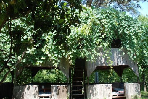Hostal Olympos Caml?k Pension
