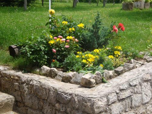 Hostal Guest House Jandric