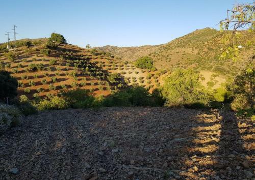 B&B Sol Y Monte