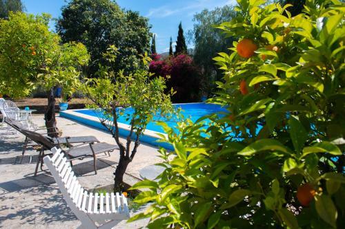 Bohemian Villa M�laga