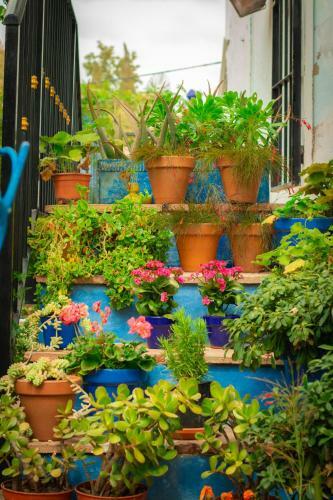 Bohemian Villa M�laga