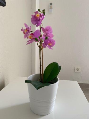 Apartamento Tiaibin