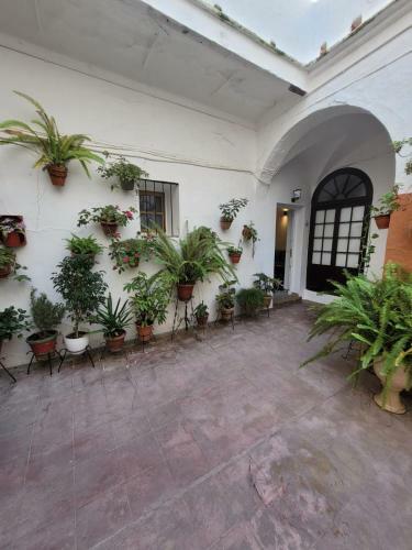 Apartamento Casa Cuna