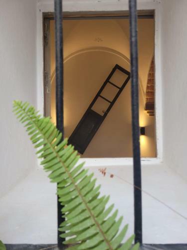 Apartamento Casa Cuna